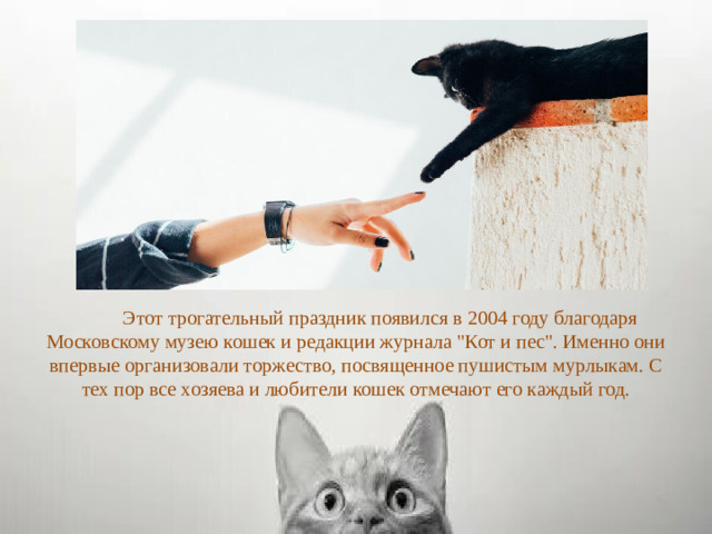Этот трогательный праздник появился в 2004 году благодаря Московскому музею кошек и редакции журнала 