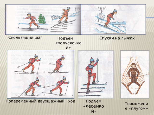 Скользящий шаг Спуски на лыжах Подъем «полуелочкой» Подъем « лесенкой » Попеременный двухшажный ход Торможение «плугом»