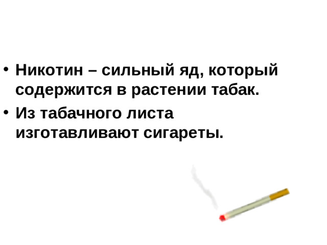 Никотин – сильный яд, который содержится в растении табак. Из табачного листа изготавливают сигареты.