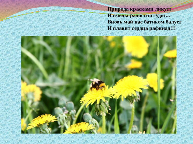 Природа красками ликует  И пчёлы радостно гудят...  Вновь май нас батиком балует  И плавит сердца рафинад!!!