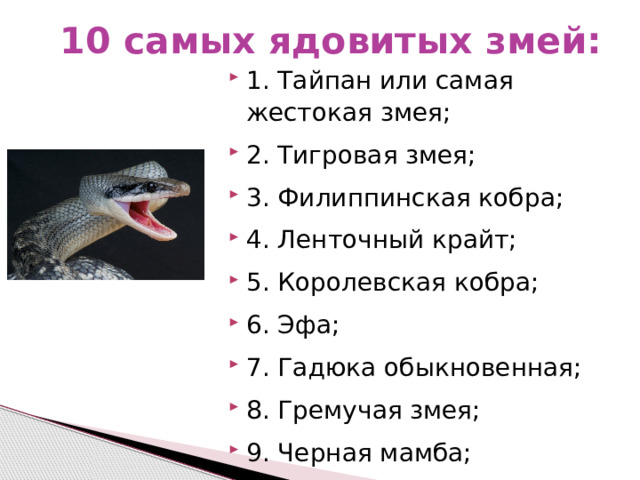 10 самых ядовитых змей: