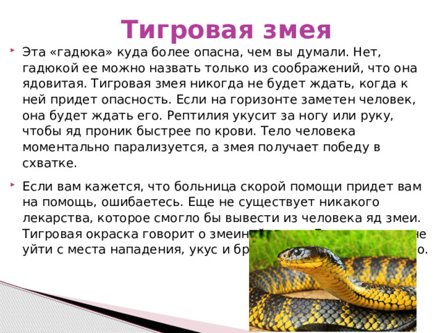 Тигровая змея