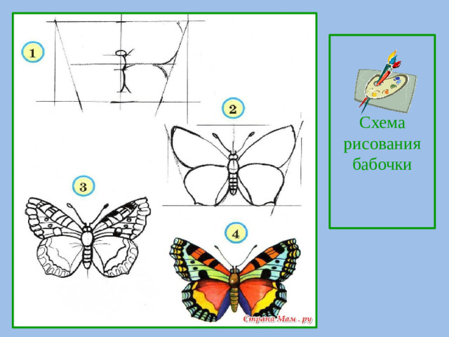 Схема рисования бабочки