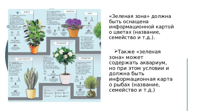 «Зеленая зона» должна быть оснащена информационной картой о цветах (название, семейство и т.д.).