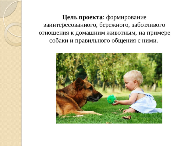 Цель проекта : формирование заинтересованного, бережного, заботливого отношения к домашним животным, на примере собаки и правильного общения с ними.