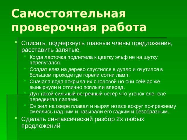 Самостоятельная проверочная работа