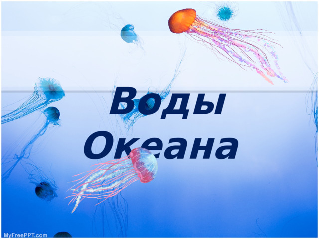 Воды Океана