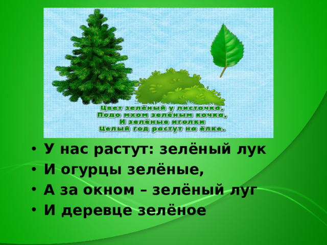 У нас растут: зелёный лук И огурцы зелёные, А за окном – зелёный луг И деревце зелёное