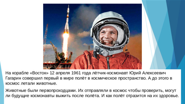 На корабле «Восток» 12 апреля 1961 года лётчик-космонавт Юрий Алексеевич Гагарин совершил первый в мире полёт в космическое пространство. А до этого в космос летали животные. Животные были первопроходцами. Их отправляли в космос чтобы проверить, могут ли будущие космонавты выжить после полёта. И как полёт отразится на их здоровье.