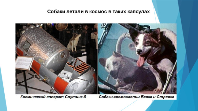 Собаки летали в космос в таких капсулах