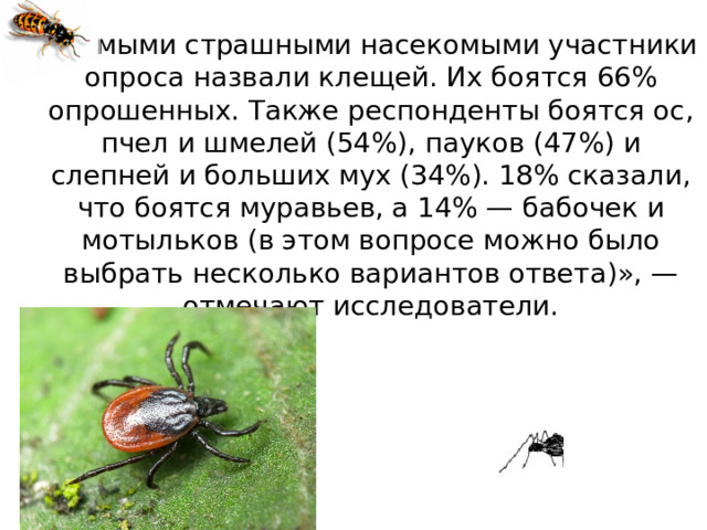 «Самыми страшными насекомыми участники опроса назвали клещей. Их боятся 66% опрошенных. Также респонденты боятся ос, пчел и шмелей (54%), пауков (47%) и слепней и больших мух (34%). 18% сказали, что боятся муравьев, а 14% — бабочек и мотыльков (в этом вопросе можно было выбрать несколько вариантов ответа)», — отмечают исследователи.