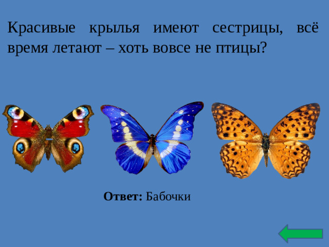 Красивые крылья имеют сестрицы, всё время летают – хоть вовсе не птицы? Ответ: Бабочки