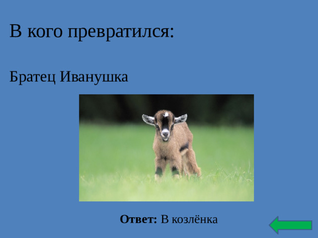 В кого превратился: Братец Иванушка Ответ: В козлёнка