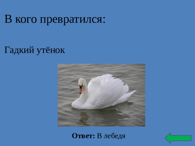 В кого превратился: Гадкий утёнок Ответ: В лебедя