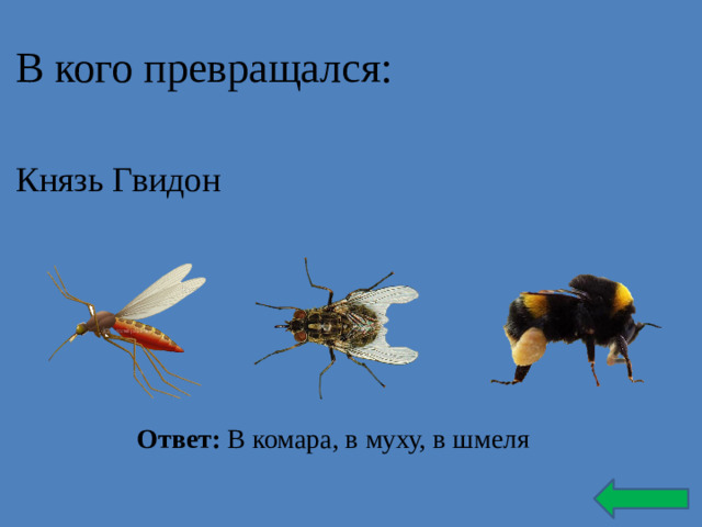 В кого превращался: Князь Гвидон Ответ: В комара, в муху, в шмеля