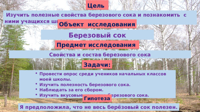 Цель   Изучить полезные свойства березового сока и познакомить с ними учащихся школы. Объект исследования Березовый сок Предмет исследования Свойства и состав березового сока Задачи: Провести опрос среди учеников начальных классов моей школы. Изучить полезность березового сока. Наблюдать за его сбором. Изучить вкусовые качества березового сока. Провести опрос среди учеников начальных классов моей школы. Изучить полезность березового сока. Наблюдать за его сбором. Изучить вкусовые качества березового сока. Провести опрос среди учеников начальных классов моей школы. Изучить полезность березового сока. Наблюдать за его сбором. Изучить вкусовые качества березового сока. Гипотеза Я предположила, что не весь берёзовый сок полезен.