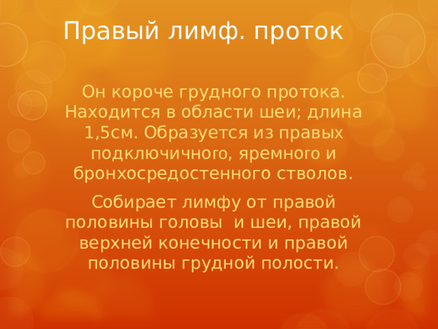 Правый лимф. проток Он короче грудного протока. Находится в области шеи; длина 1,5см. Образуется из правы х подключично го , яремно го и бронхосредостенного стволов. Собирает лимфу от правой половины головы и шеи, правой верхней конечности и правой половины грудной полости.