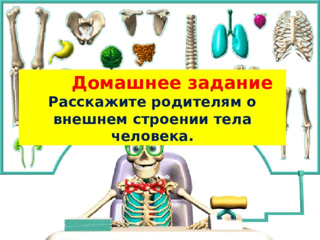 Домашнее задание Расскажите родителям о внешнем строении тела человека.