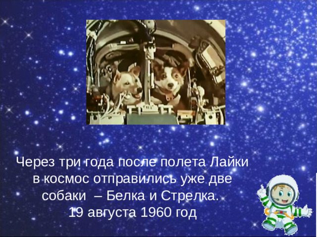 Через три года после полета Лайки в космос отправились уже две собаки – Белка и Стрелка. 19 августа 1960 год