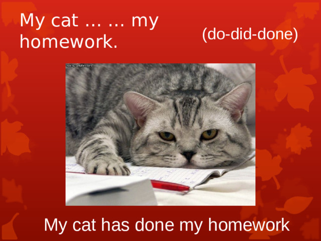My cat … … my homework. (do-did-done) My cat has done my homework