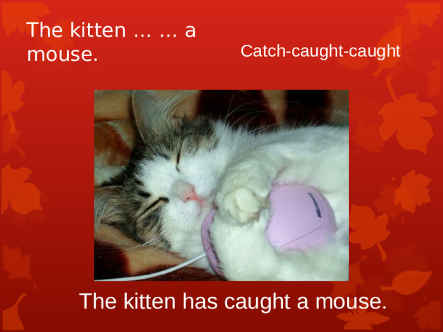 The kitten … … a mouse. Catch-caught-caught  The kitten has caught a mouse.