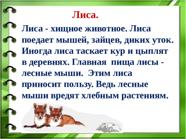 Лиса. Лиса - хищное животное. Лиса поедает мышей, зайцев, диких уток. Иногда лиса таскает кур и цыплят в деревнях. Главная пища лисы - лесные мыши. Этим лиса приносит пользу. Ведь лесные мыши вредят хлебным растениям.