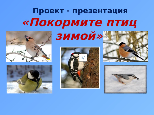 Проект - презентация  «Покормите птиц зимой»