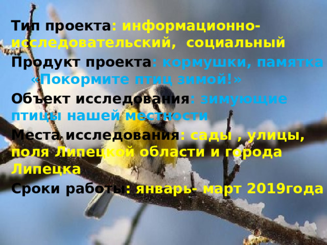 Тип проекта : информационно- исследовательский, социальный Продукт проекта : кормушки, памятка «Покормите птиц зимой!» Объект исследования : зимующие птицы нашей местности Места исследования : сады , улицы, поля Липецкой области и города Липецка Сроки работы : январь- март 2019года