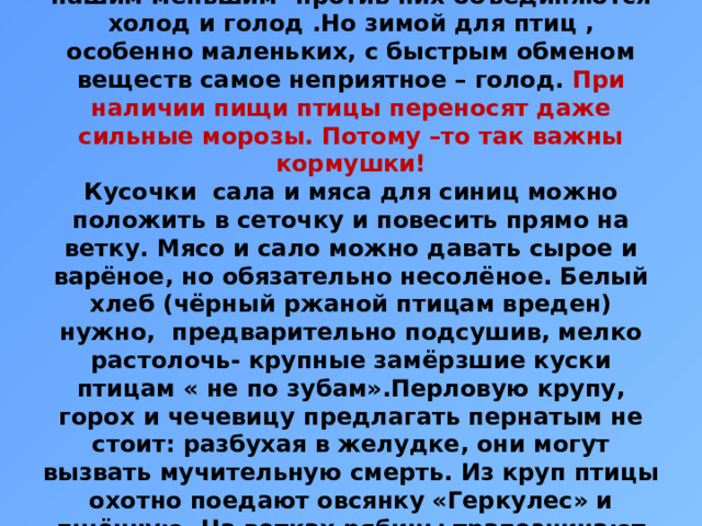 Вывод:  Туго приходится братьям нашим меньшим- против них объединяются холод и голод .Но зимой для птиц , особенно маленьких, с быстрым обменом веществ самое неприятное – голод. При наличии пищи птицы переносят даже сильные морозы. Потому –то так важны кормушки!  Кусочки сала и мяса для синиц можно положить в сеточку и повесить прямо на ветку. Мясо и сало можно давать сырое и варёное, но обязательно несолёное. Белый хлеб (чёрный ржаной птицам вреден) нужно, предварительно подсушив, мелко растолочь- крупные замёрзшие куски птицам « не по зубам».Перловую крупу, горох и чечевицу предлагать пернатым не стоит: разбухая в желудке, они могут вызвать мучительную смерть. Из круп птицы охотно поедают овсянку «Геркулес» и пшённую. На ветках рябины трапезничают красногрудые снегири.