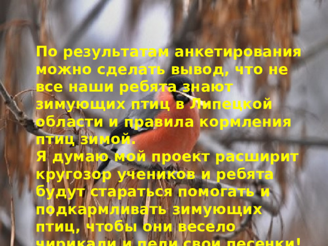 По результатам анкетирования можно сделать вывод, что не все наши ребята знают зимующих птиц в Липецкой области и правила кормления птиц зимой. Я думаю мой проект расширит кругозор учеников и ребята будут стараться помогать и подкармливать зимующих птиц, чтобы они весело чирикали и пели свои песенки!