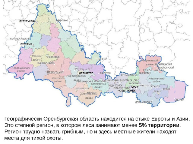 Географически Оренбургская область находится на стыке Европы и Азии. Это степной регион, в котором леса занимают менее  5% территории . Регион трудно назвать грибным, но и здесь местные жители находят места для тихой охоты.