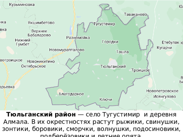 Тюльганский район  — село Тугустимир и деревня Алмала. В их окрестностях растут рыжики, свинушки, зонтики, боровики, сморчки, волнушки, подосиновики, подберёзовики и летние опята.