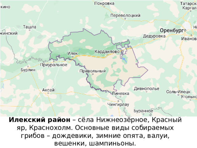 Илекский район  – сёла Нижнеозёрное, Красный яр, Краснохолм. Основные виды собираемых грибов – дождевики, зимние опята, валуи, вешенки, шампиньоны.