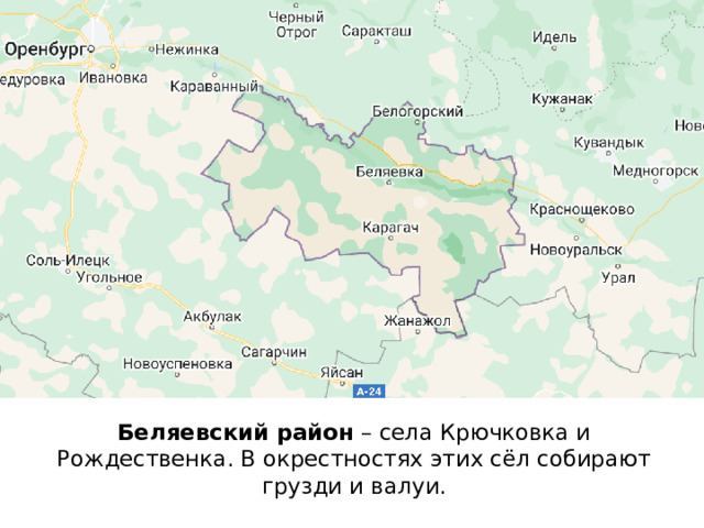 Беляевский район  – села Крючковка и Рождественка. В окрестностях этих сёл собирают грузди и валуи.