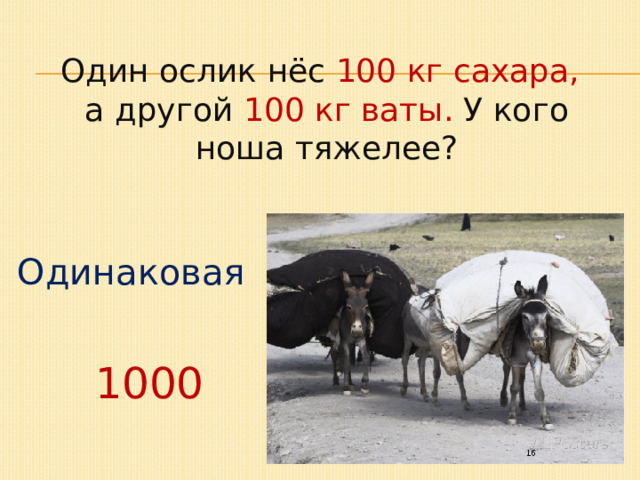 Один ослик нёс 100 кг сахара, а другой 100 кг ваты. У кого ноша тяжелее? Одинаковая 1000