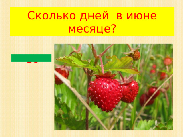 Сколько дней в июне месяце? 30