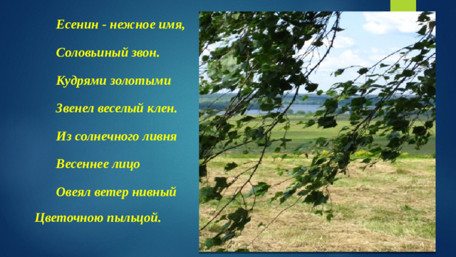 Есенин - нежное имя, Соловьиный звон. Кудрями золотыми Звенел веселый клен. Из солнечного ливня Весеннее лицо Овеял ветер нивный Цветочною пыльцой.