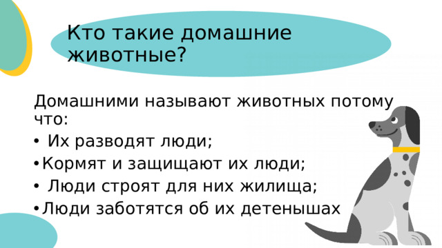 Кто такие домашние животные? Домашними называют животных потому что: