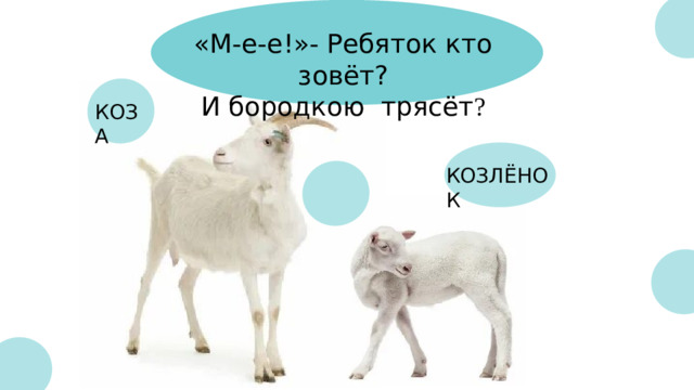 «М-е-е!»- Ребяток кто зовёт?  И бородкою трясёт ? КОЗА КОЗЛЁНОК