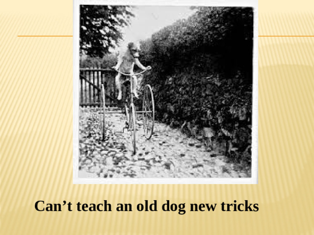 Can’t teach an old dog new tricks