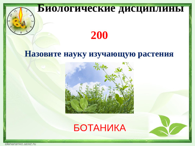 Биологические дисциплины  200 Назовите науку изучающую растения БОТАНИКА