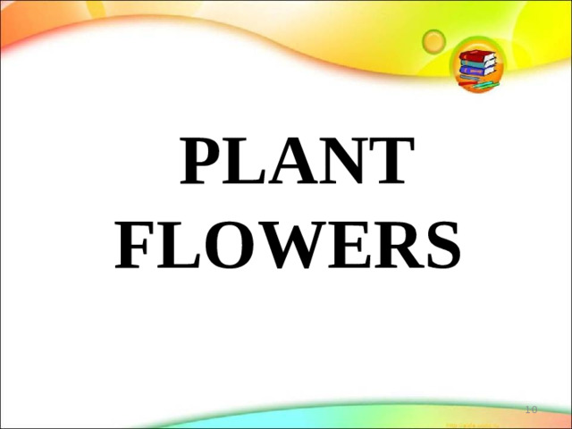 PLANT FLOWERS