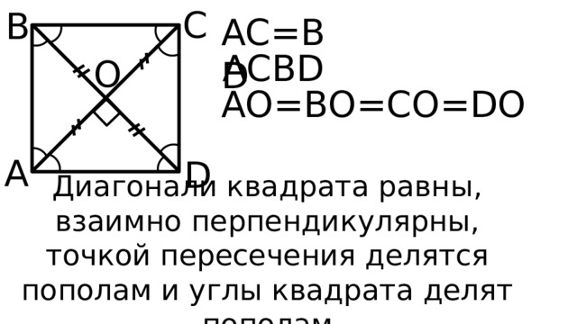 C B AC=BD ACBD   O AO=BO=CO=DO A D Диагонали квадрата равны, взаимно перпендикулярны, точкой пересечения делятся пополам и углы квадрата делят пополам