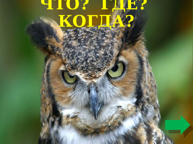 ЧТО? ГДЕ? КОГДА?