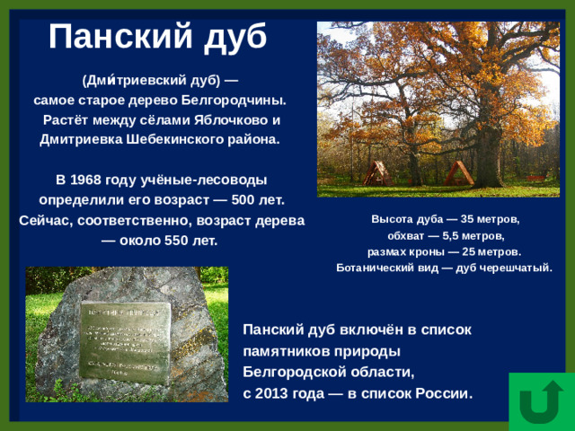 Панский дуб (Дми́триевский дуб) — самое старое дерево Белгородчины. Растёт между сёлами Яблочково и Дмитриевка Шебекинского района.  В 1968 году учёные-лесоводы определили его возраст — 500 лет. Сейчаc, соответственно, возраст дерева — около 550 лет.  Высота дуба — 35 метров,  обхват — 5,5 метров, размах кроны — 25 метров. Ботанический вид — дуб черешчатый. Панский дуб включён в список памятников природы Белгородской области, с 2013 года — в список России.