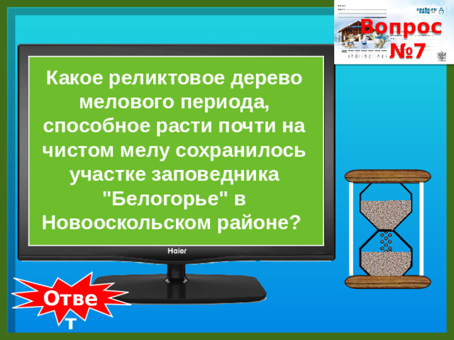 Вопрос № 7    Какое реликтовое дерево мелового периода, способное расти почти на чистом мелу сохранилось участке заповедника 