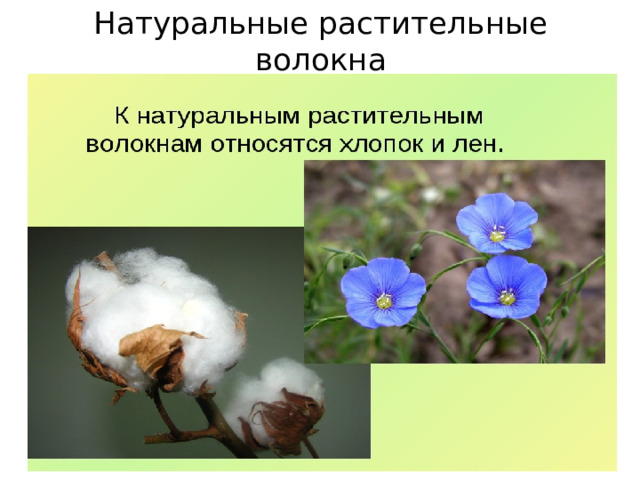 Натуральные растительные волокна