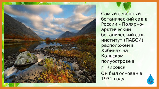 Самый северный ботанический сад в России – Полярно-арктический ботанический сад-институт (ПАБСИ) расположен в Хибинах на Кольском полуострове в г. Кировск. Он был основан в 1931 году.
