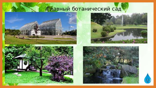 Главный ботанический сад им.Н.В.Цицина