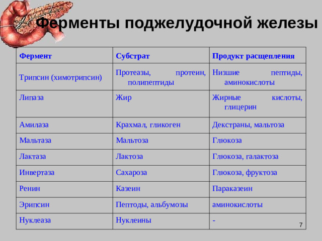 Ферменты поджелудочной железы Фермент Трипсин (химотрипсин) Субстрат Протеазы, протеин, полипептиды Липаза Продукт расщепления Низшие пептиды, аминокислоты Жир Амилаза Жирные кислоты, глицерин Крахмал, гликоген Мальтаза Лактаза Декстраны, мальтоза Мальтоза Инвертаза Глюкоза Лактоза Глюкоза, галактоза Сахароза Ренин Глюкоза, фруктоза Казеин Эрипсин Параказеин Пептоды, альбумозы Нуклеаза Нуклеины аминокислоты -